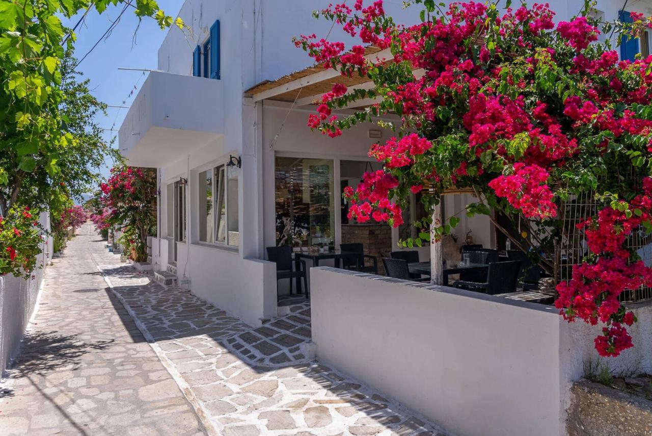 Antiparos View Apartment Ngoại thất bức ảnh